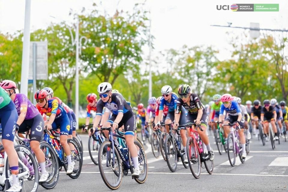 tTwET, Osvg, om tTwET, Osvg, om