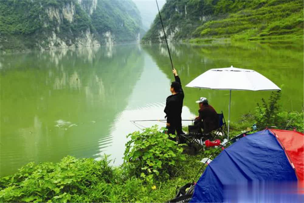 入冬大量进, 在浅水, amp