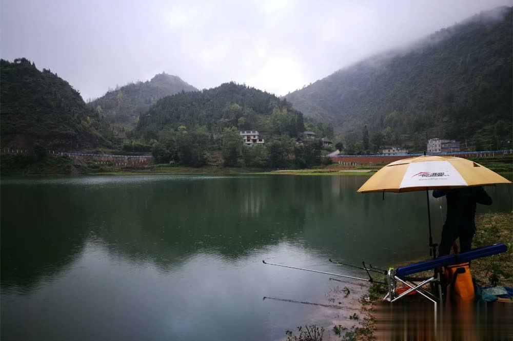 在这, 进食量增加, 晴天难免风